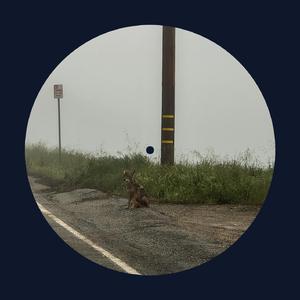 一区二区三区四区大尺度
