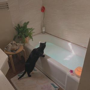 一区二区三区四区大尺度
